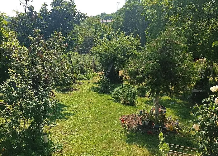 Florida アパート ヴルドニーク